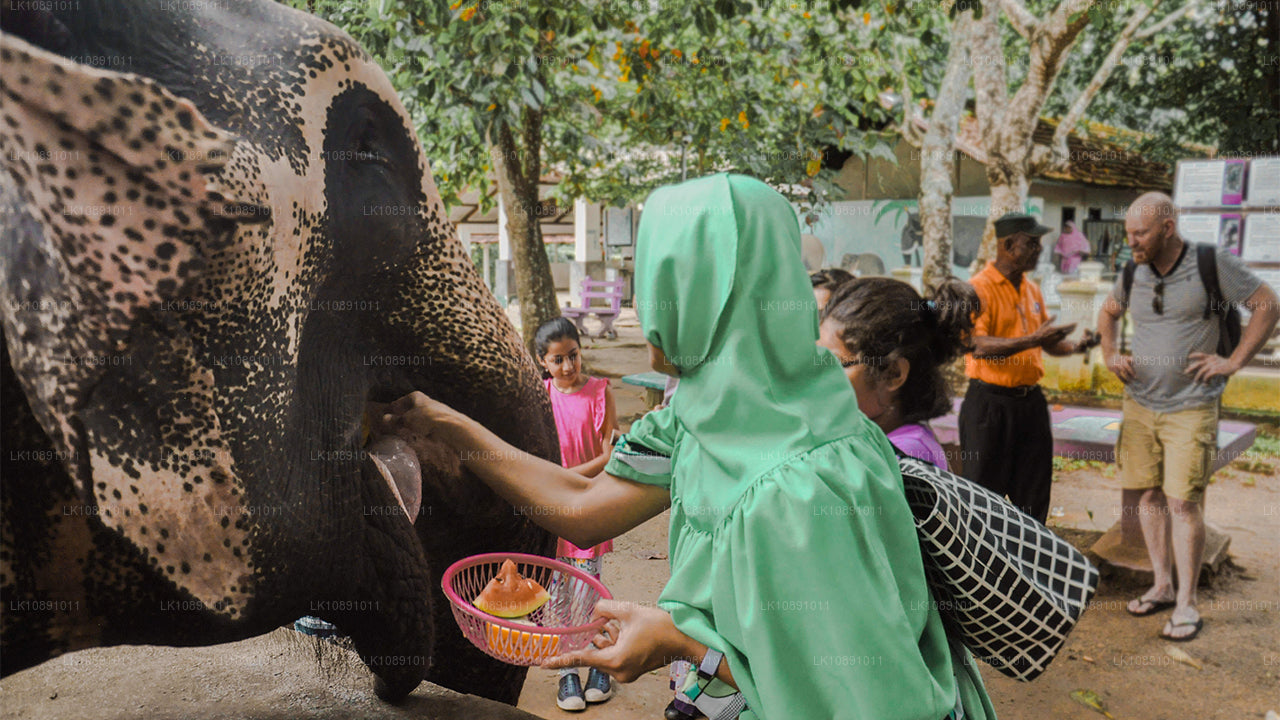 Ceylan par excellence (8 jours)