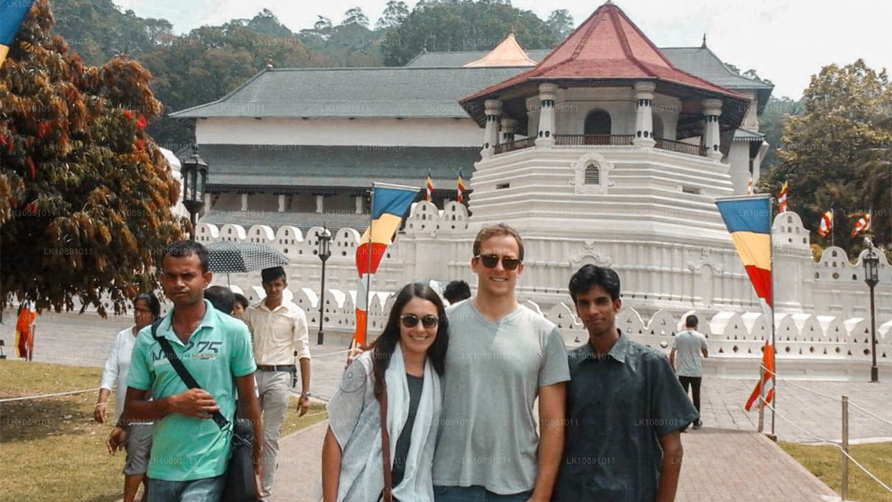 Ceylan par excellence (8 jours)