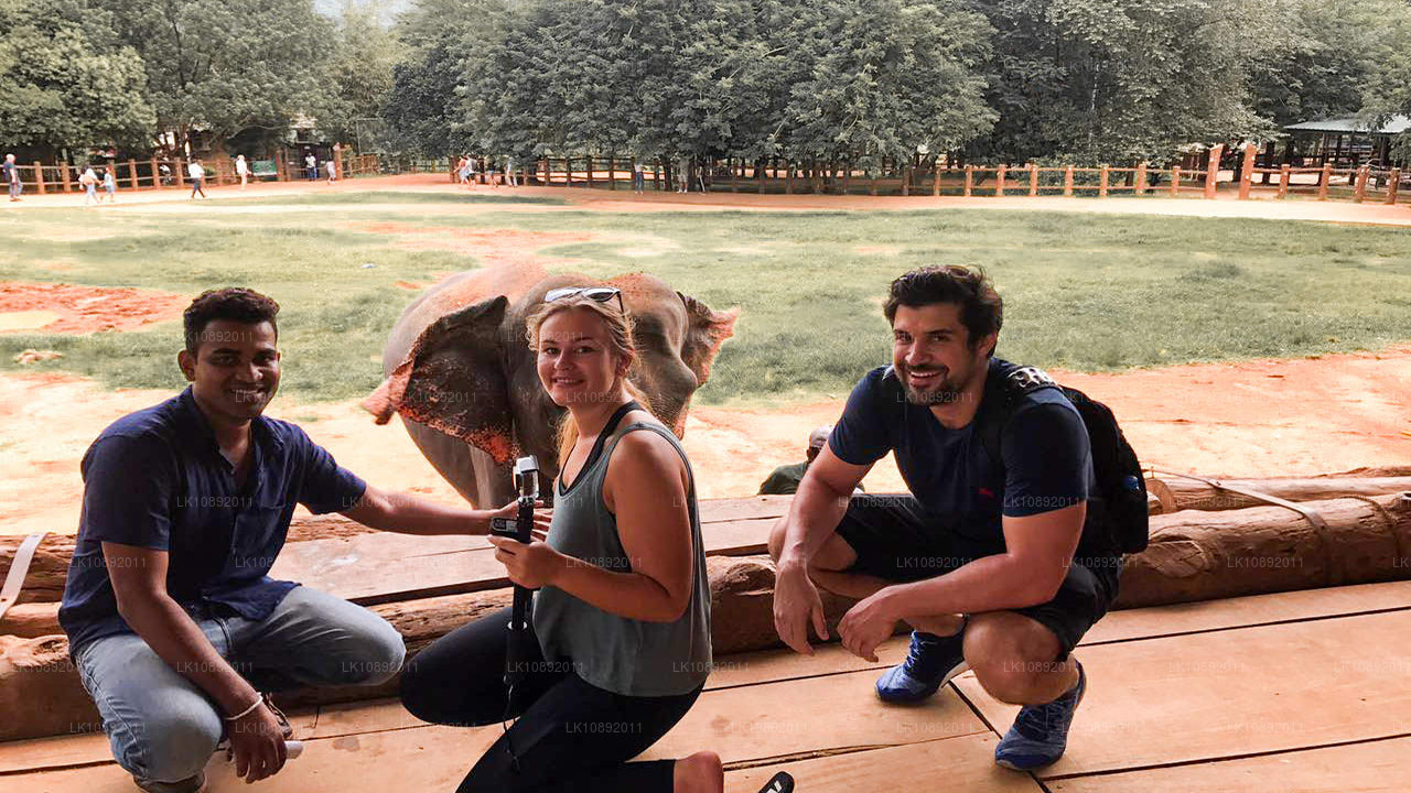 Culture, nature sauvage et nature (8 jours)