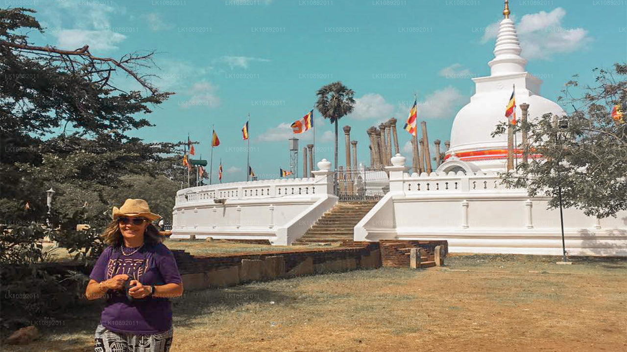 Culture, nature sauvage et nature (8 jours)