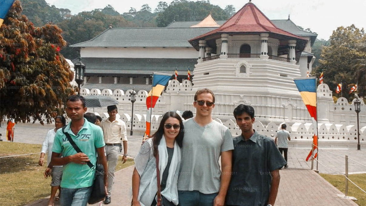 Culture, nature sauvage et nature (8 jours)