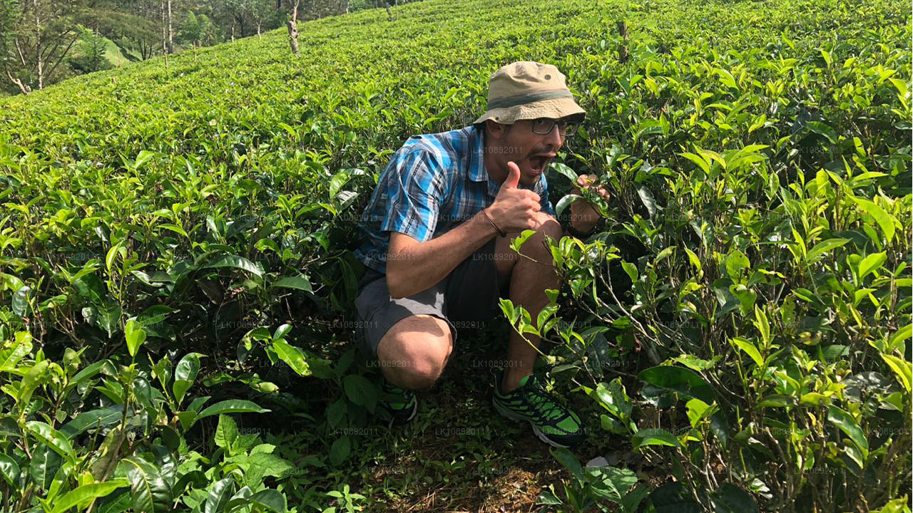 Culture, nature sauvage et nature (8 jours)