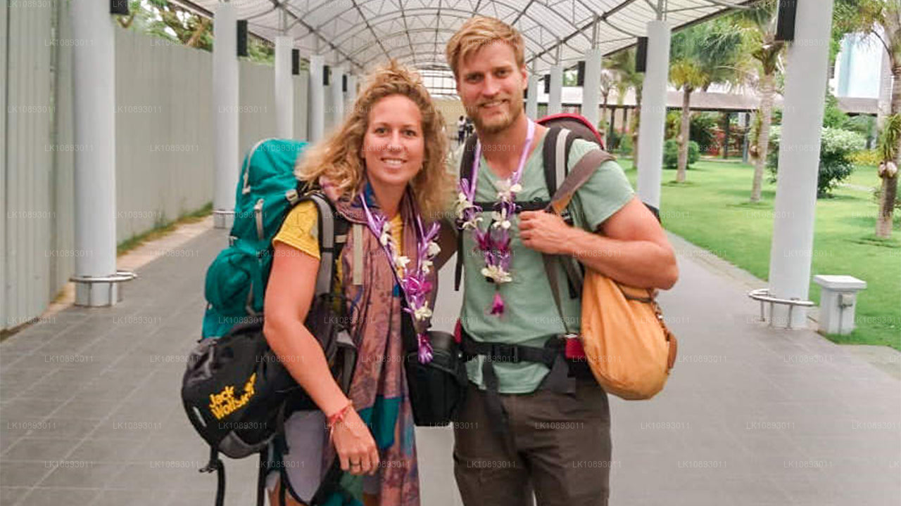 Wild Wonders (8 jours)