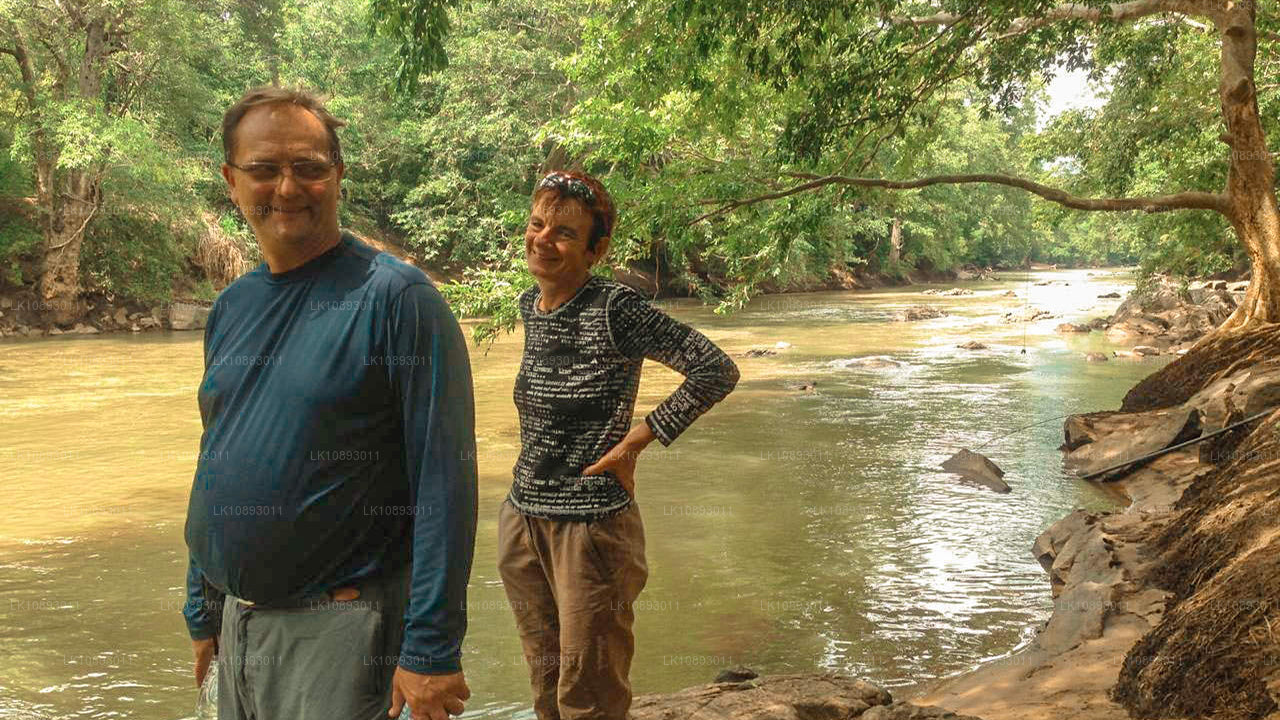 Wild Wonders (8 jours)