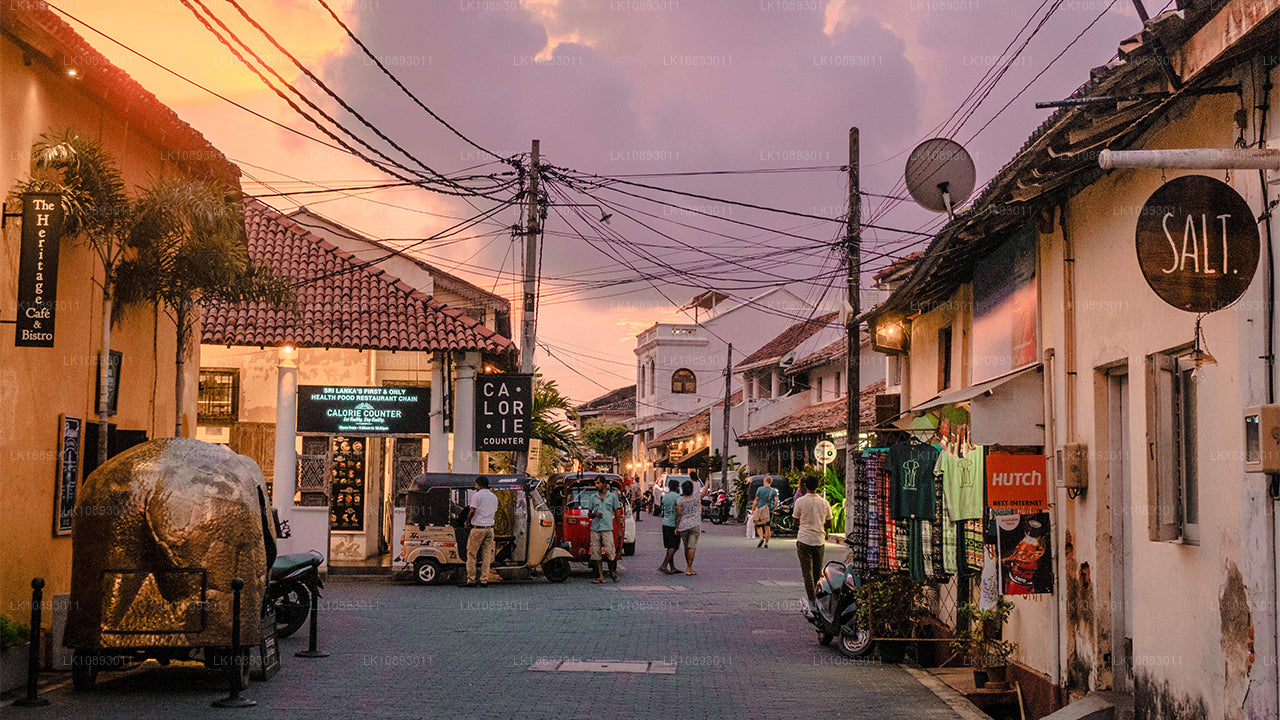 Wild Wonders (8 jours)