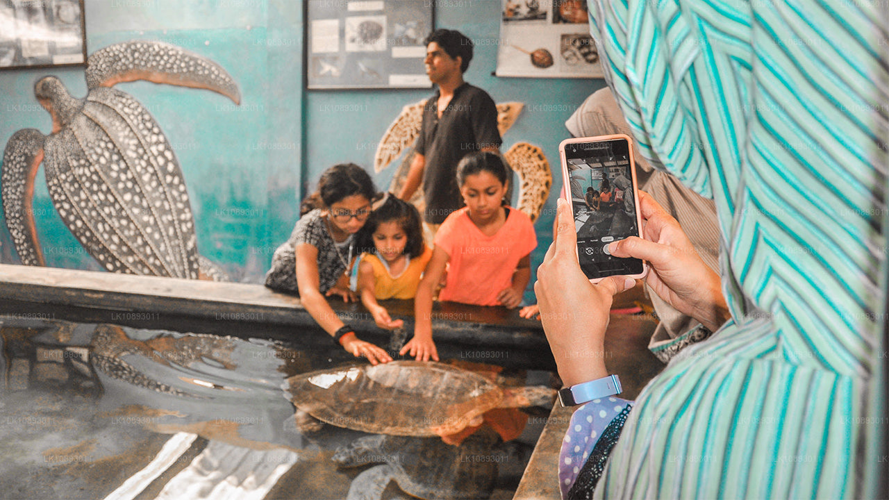 Wild Wonders (8 jours)