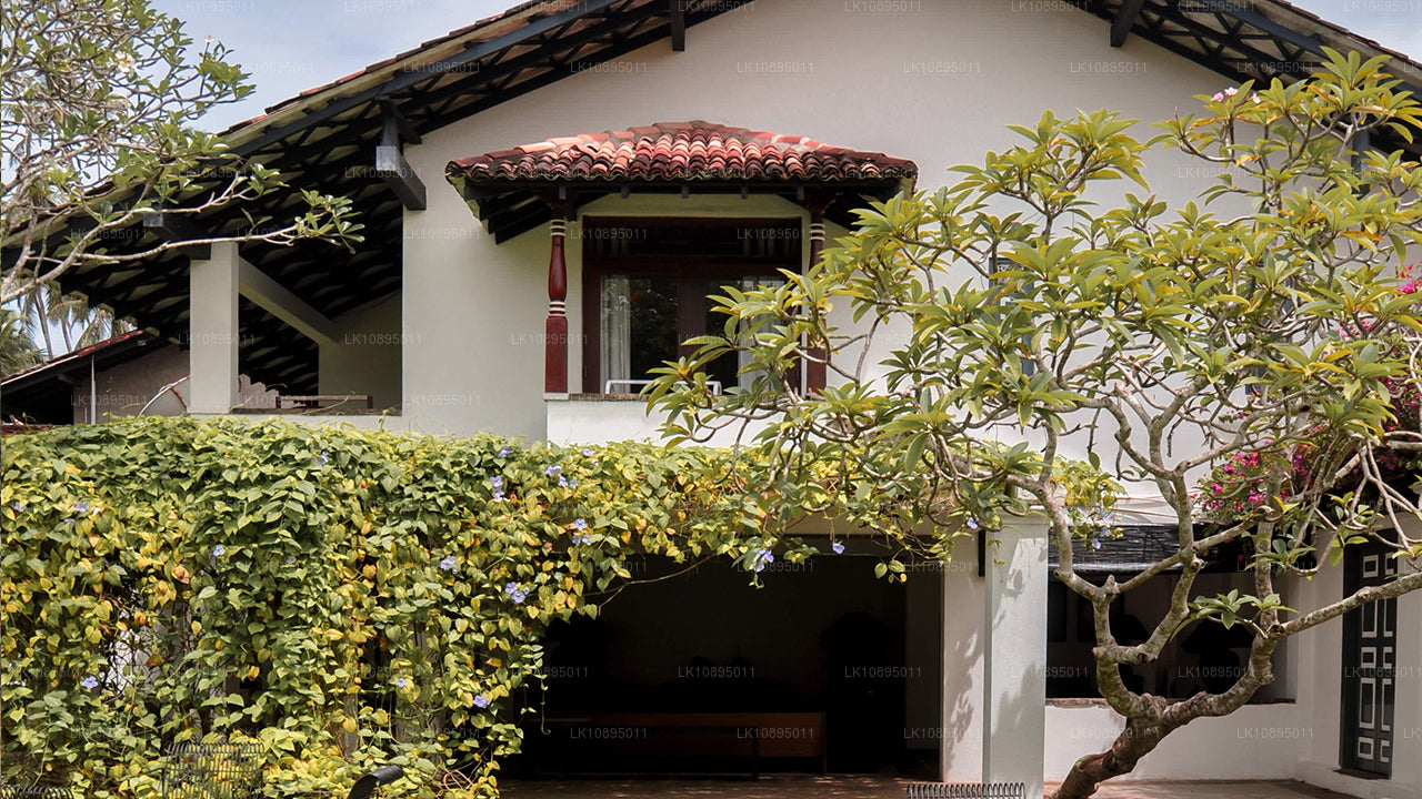 Impressions de Geoffrey Bawa (8 jours)