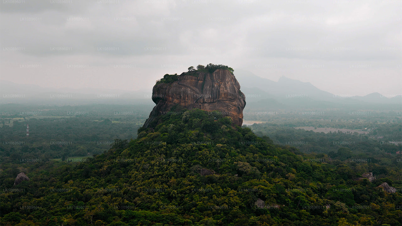 Côte et collines (8 jours)