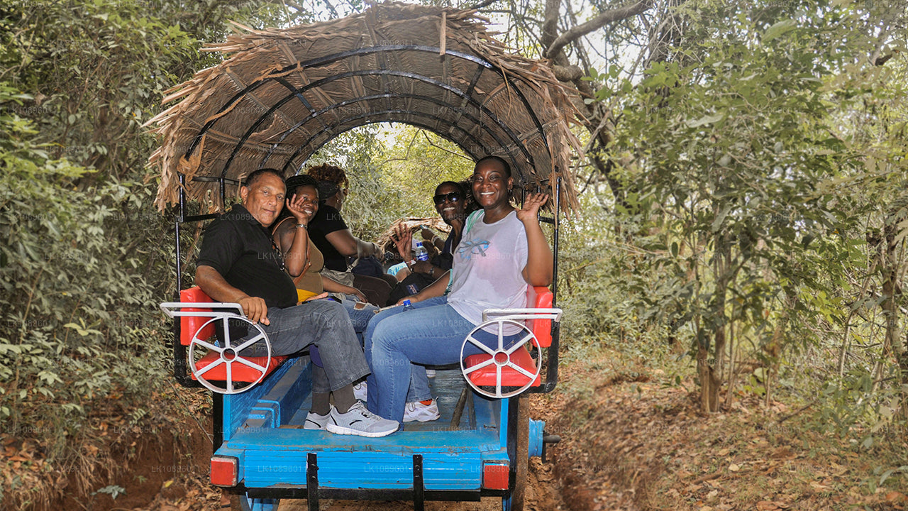 Côte et collines (8 jours)