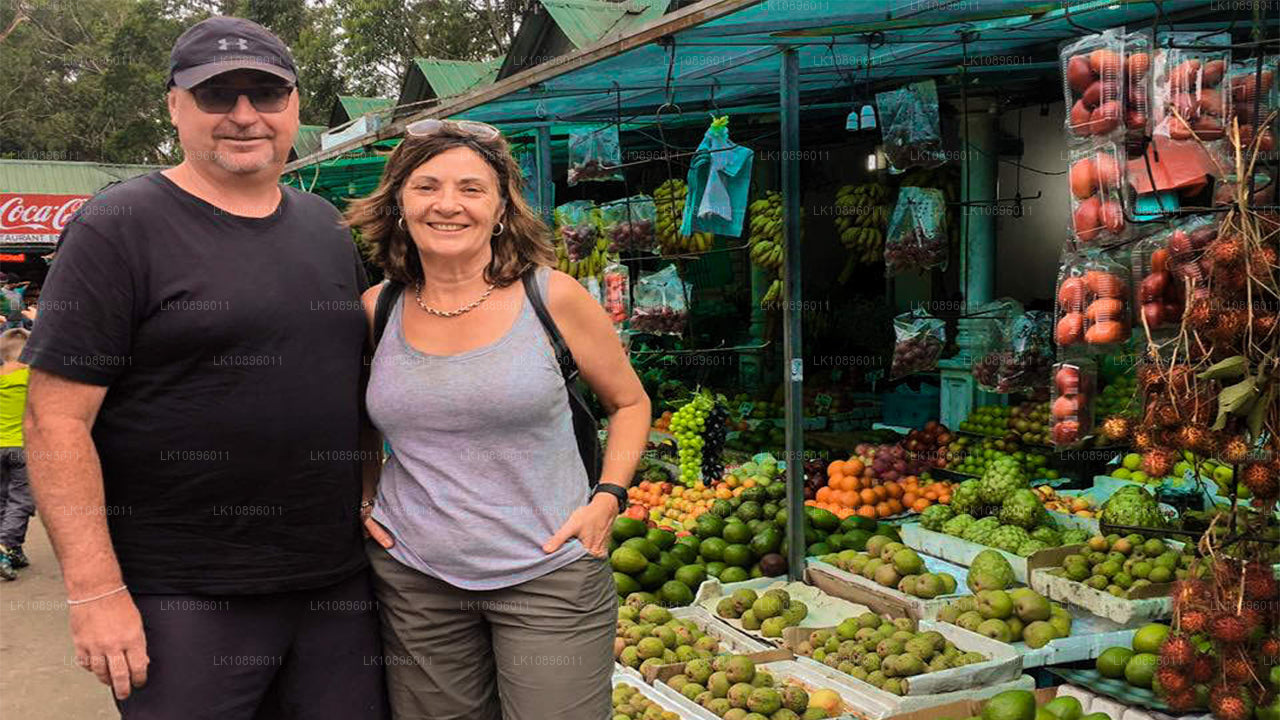 Côte et collines (8 jours)