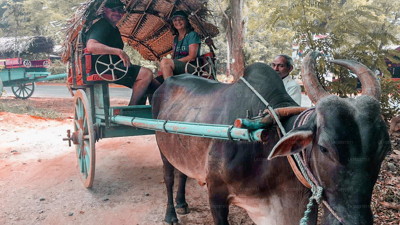 Culture et nature sauvage (8 jours)