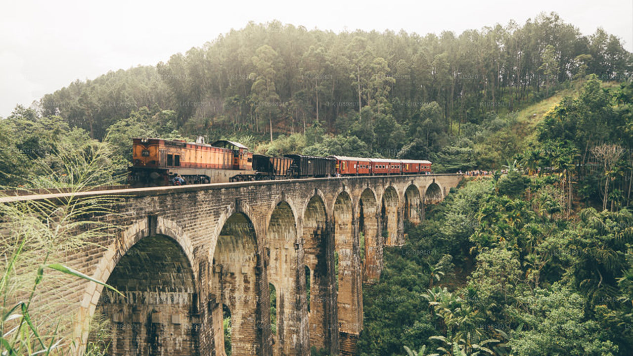 Découvrez Serendib en train (8 jours)