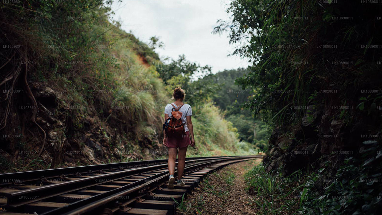 Découvrez Serendib en train (8 jours)