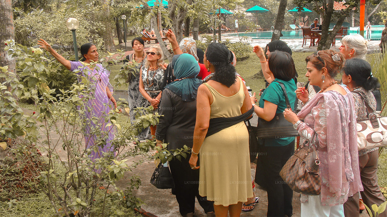 Soulagement et relaxation avec Siddalepa (8 jours)