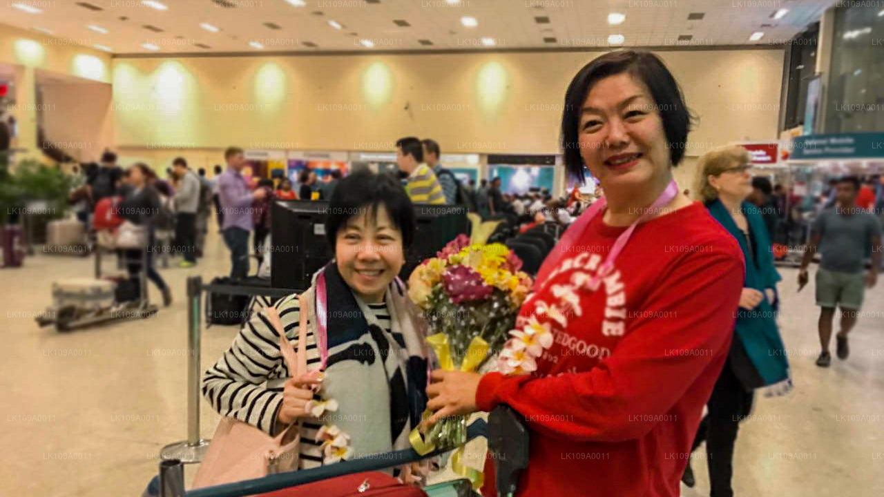 Culture et patrimoine (9 jours)