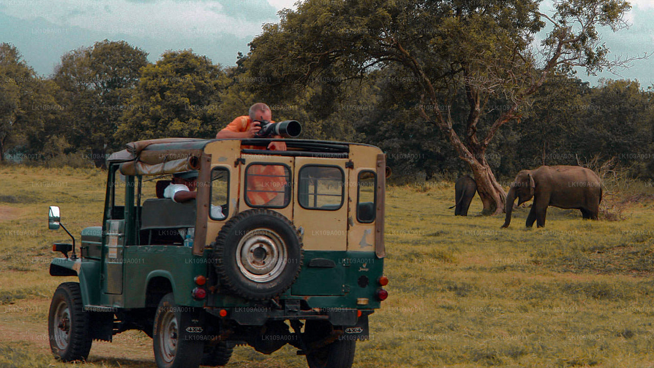 Culture et patrimoine (9 jours)