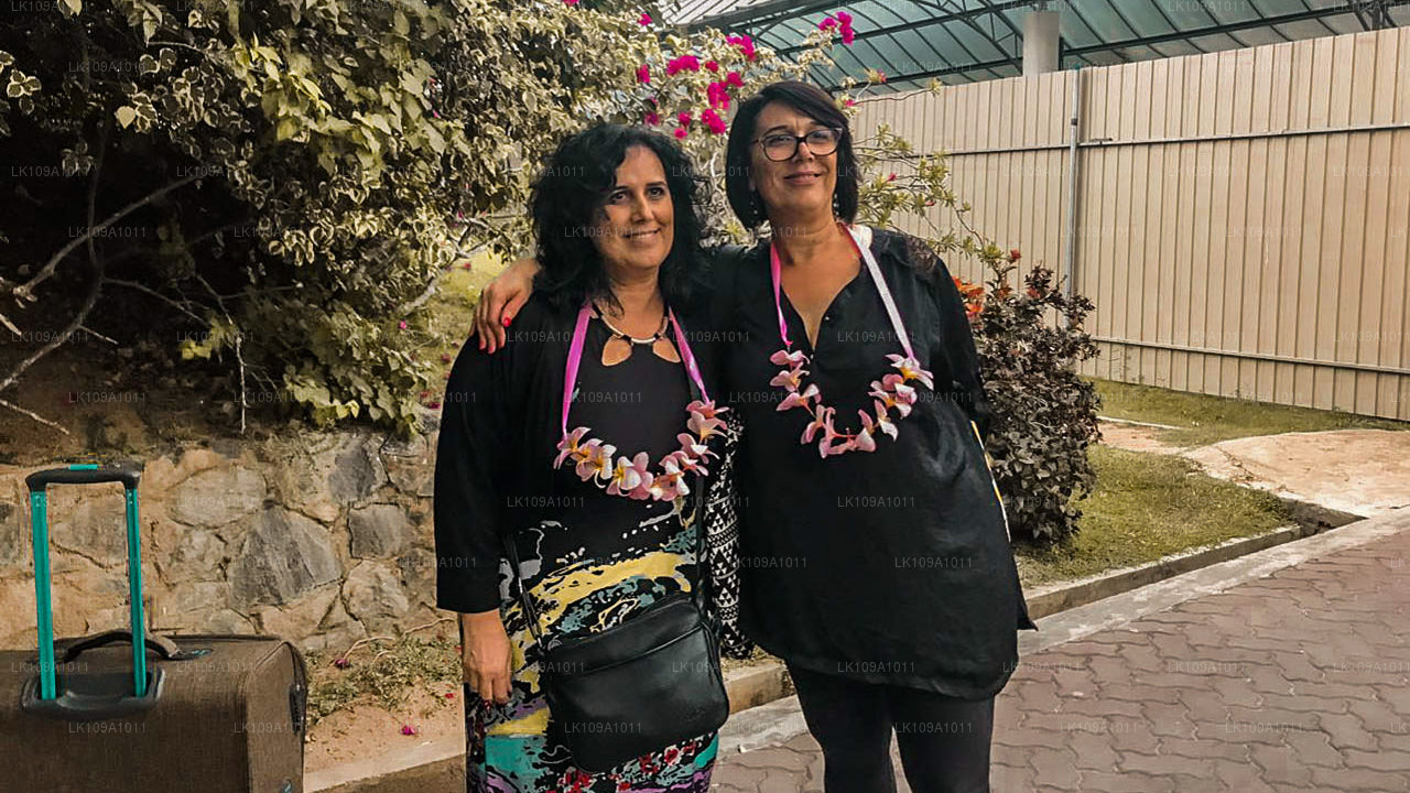 Découvrez le sud et les collines (9 jours)