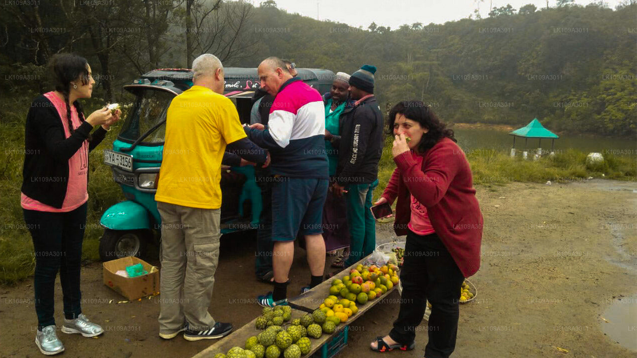 Détendez-vous au Sri Lanka (9 jours)