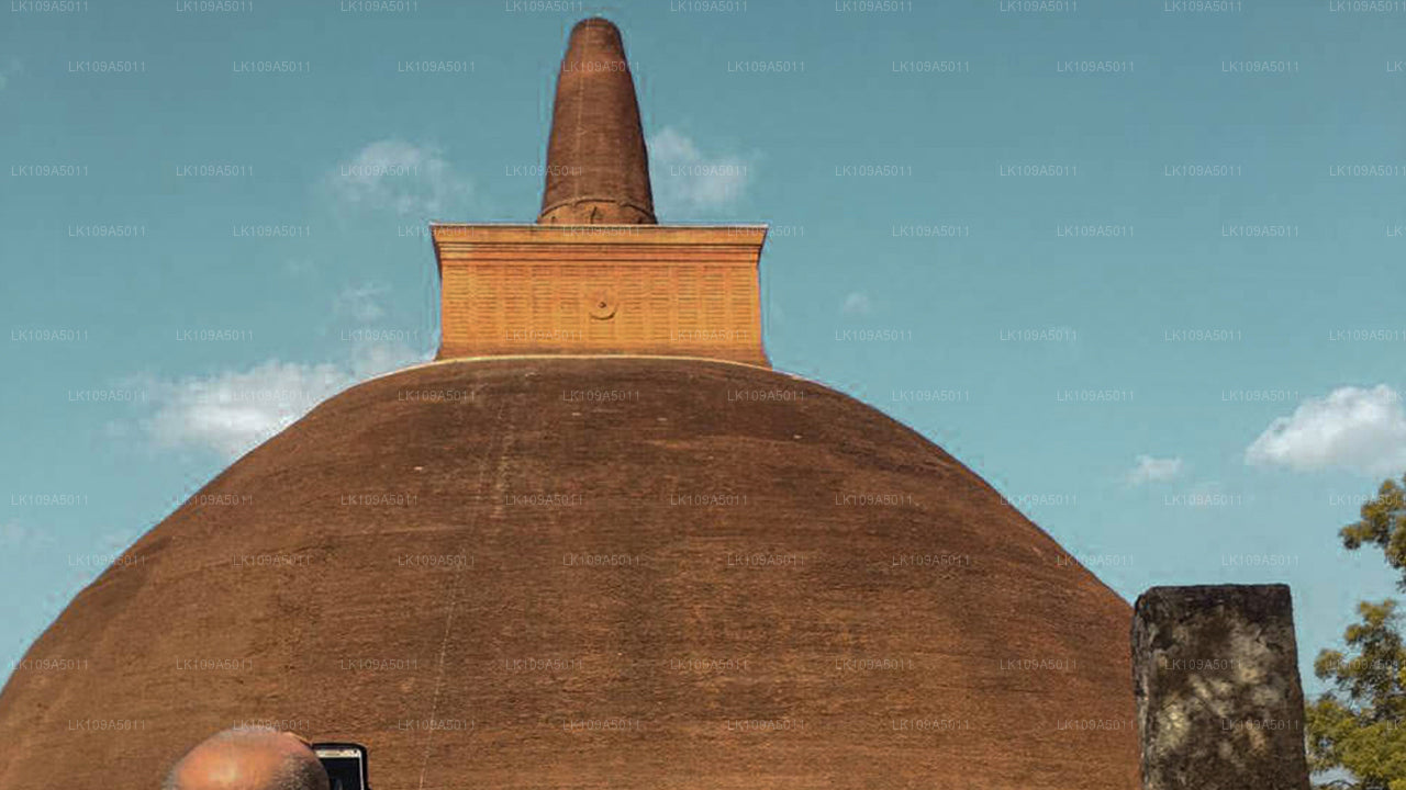 Pèlerinage bouddhiste (9 jours)