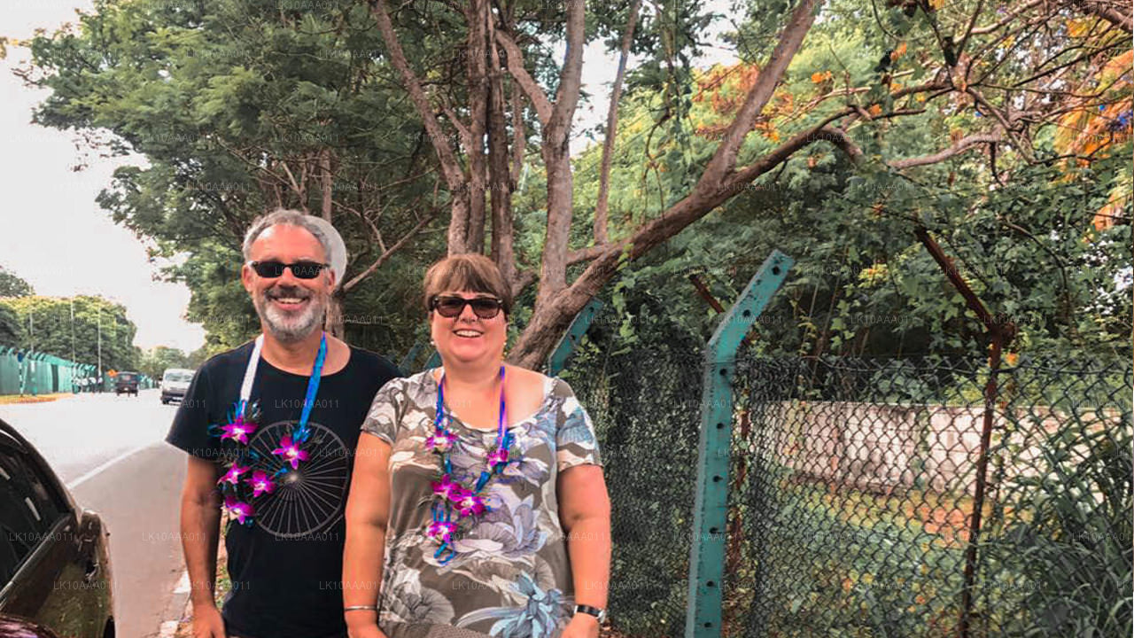 Faits marquants du Sri Lanka (10 jours)