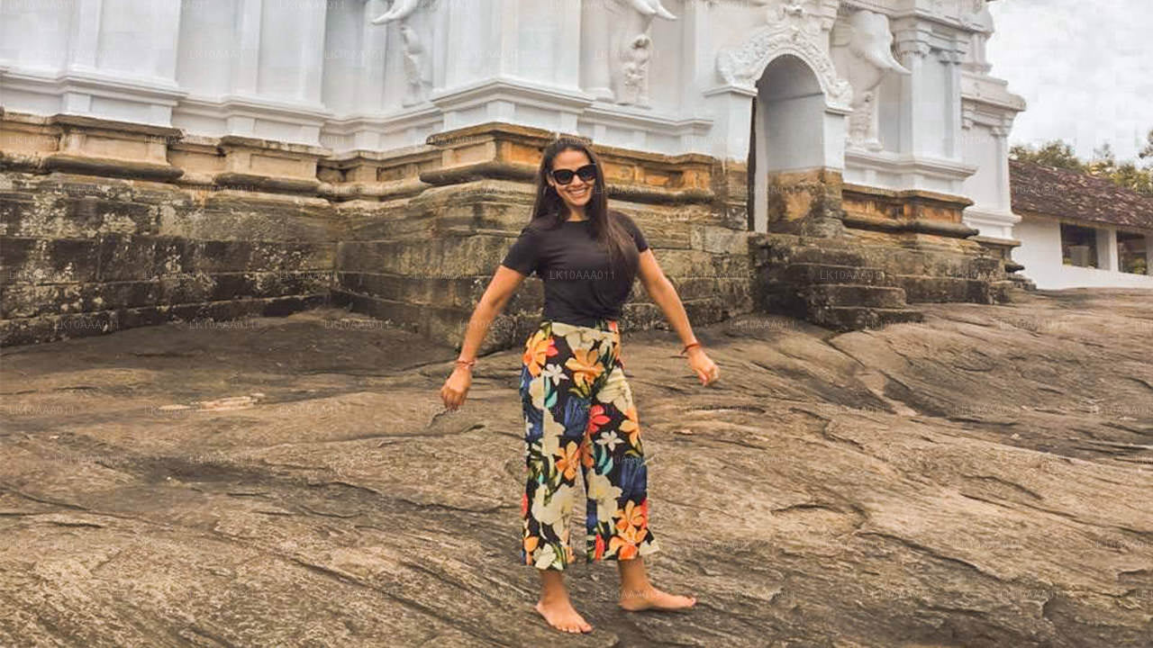 Faits marquants du Sri Lanka (10 jours)