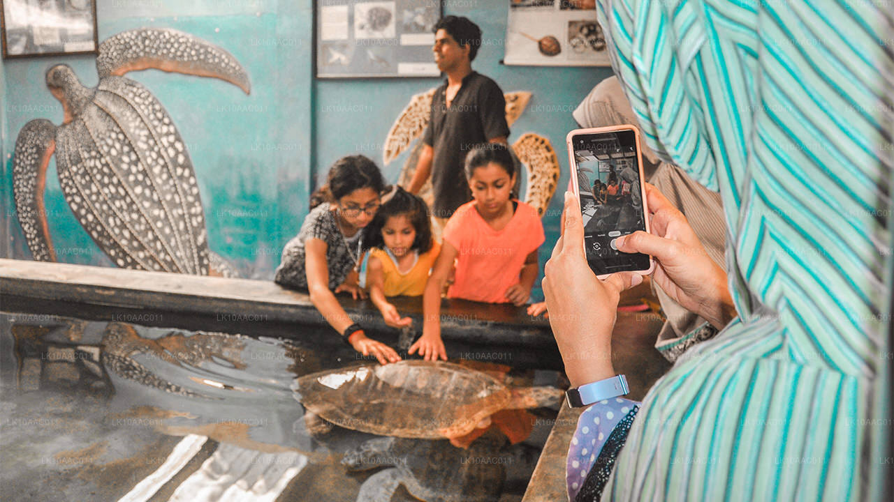 Royaumes de Ceylan (10 jours)