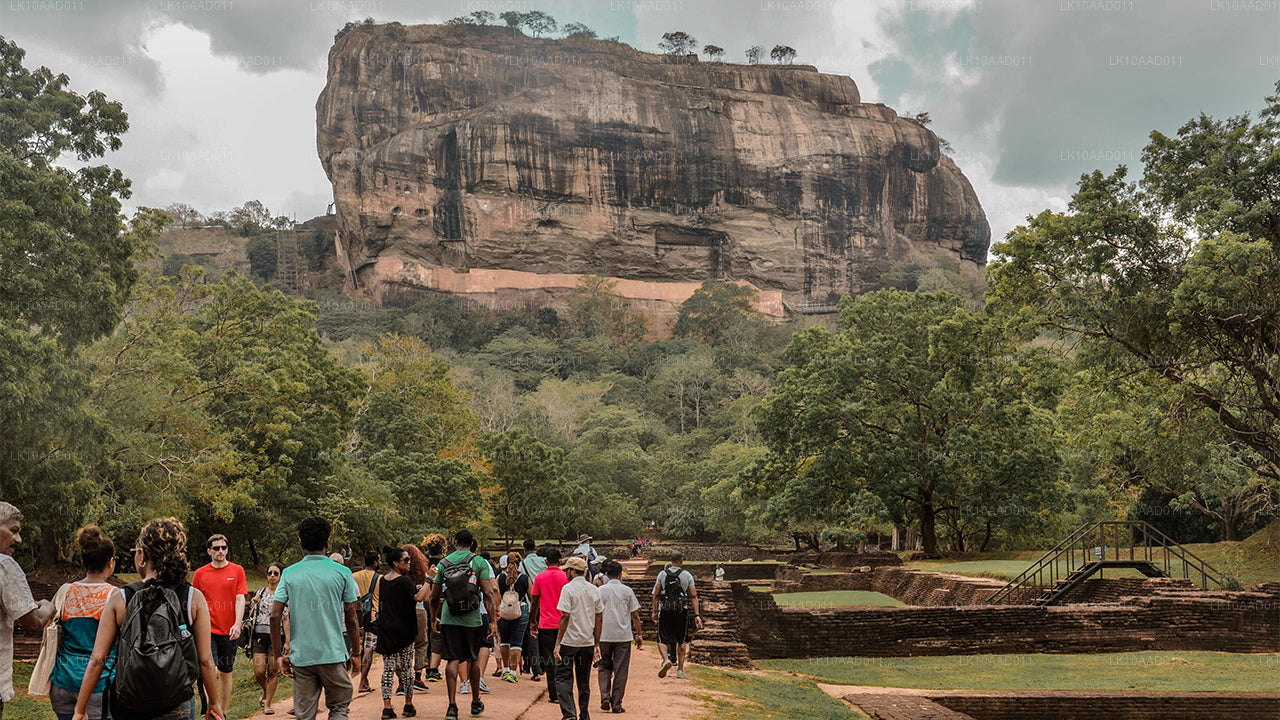 Fête du Ramayana (10 jours)