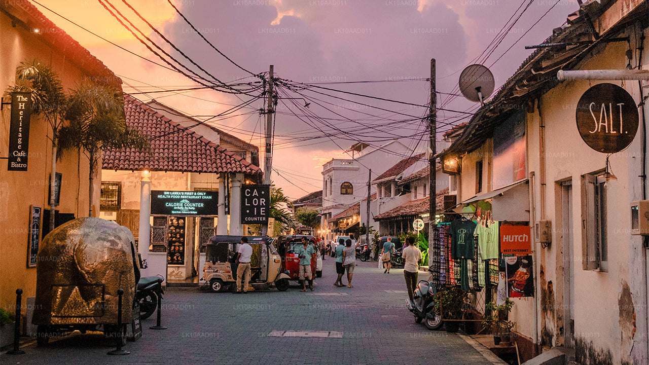 Fête du Ramayana (10 jours)