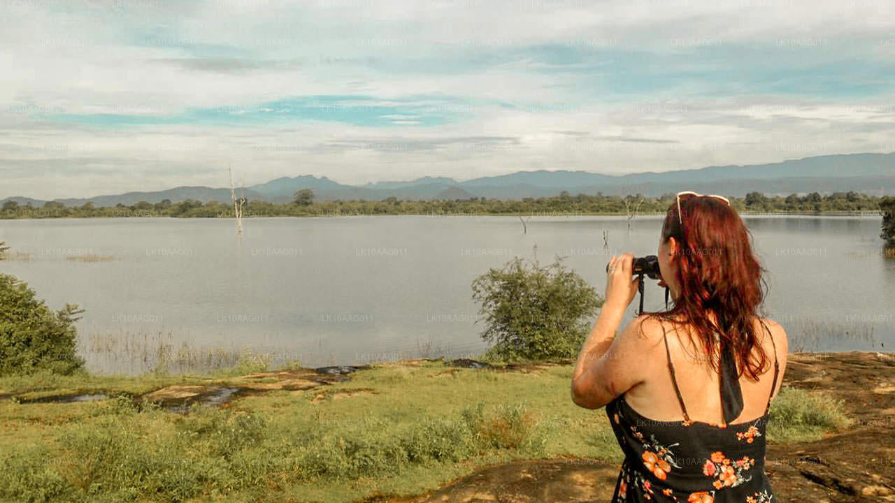 Faune du Sri Lanka (10 jours)