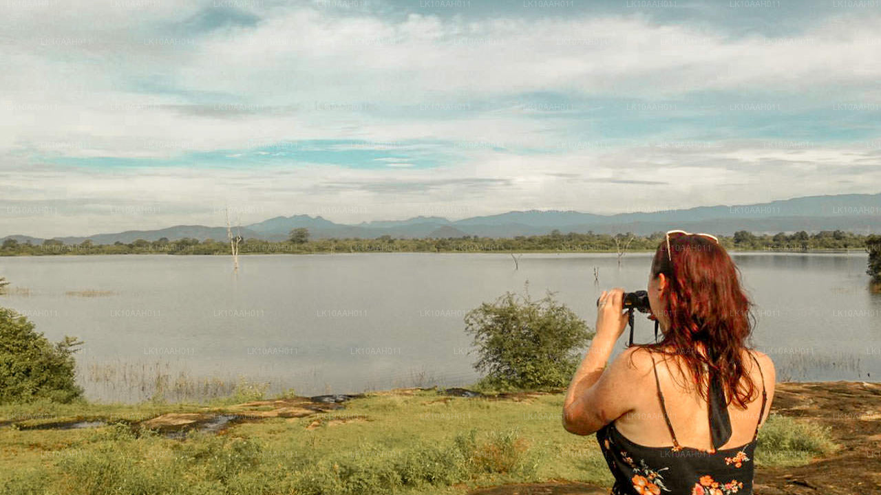 Histoire et patrimoine (10 jours)