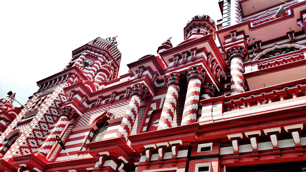 Circuit halal (islamique) au Sri Lanka (10 jours)