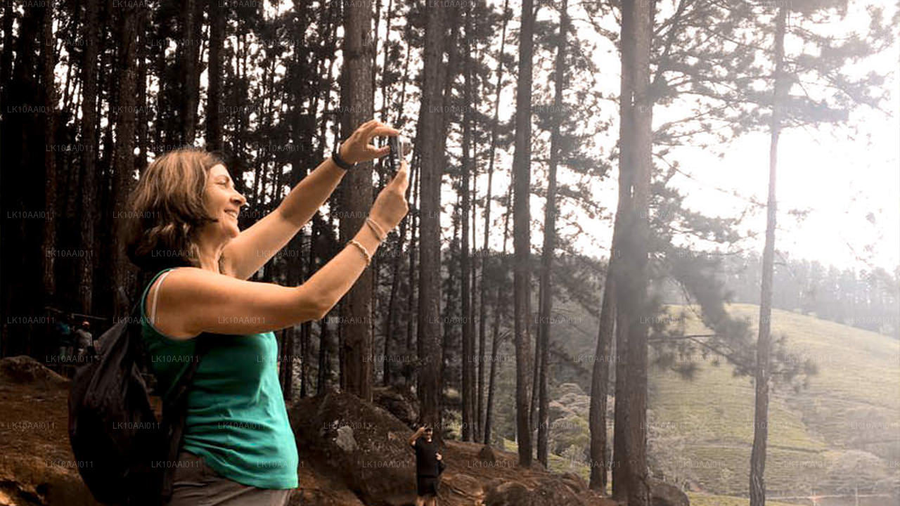 Circuit halal (islamique) au Sri Lanka (10 jours)