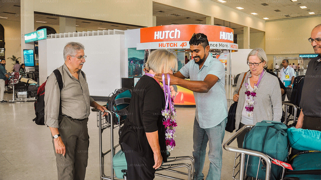 Excursion de thé à Ceylan (10 jours)