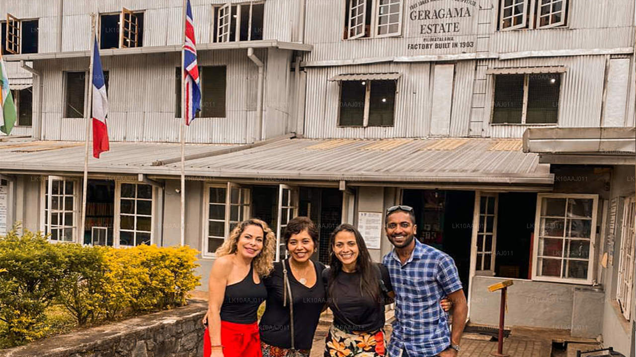 Excursion de thé à Ceylan (10 jours)