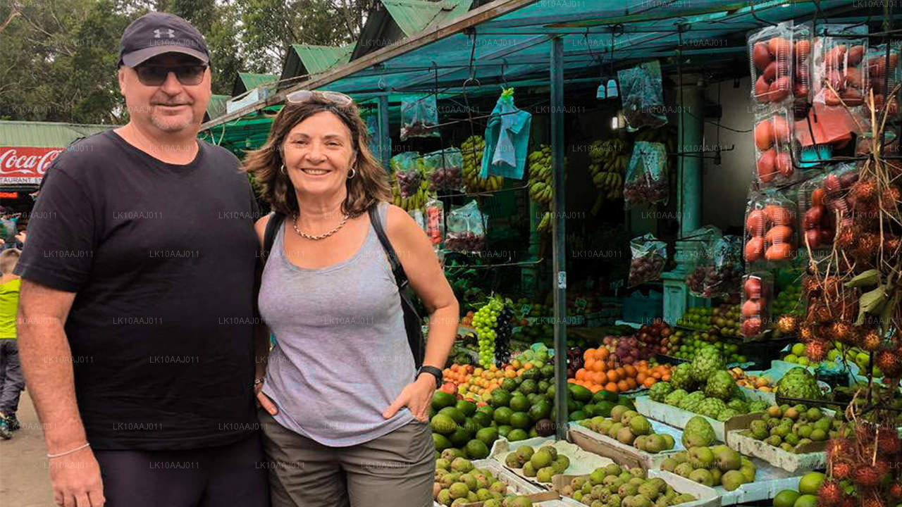 Excursion de thé à Ceylan (10 jours)