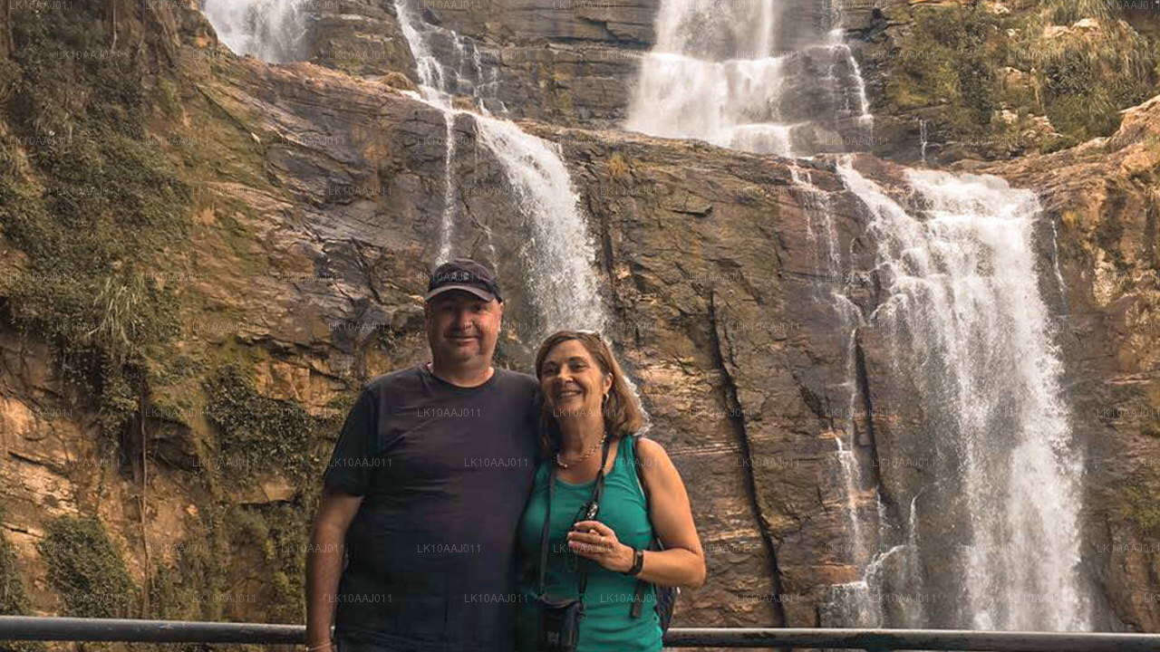 Excursion de thé à Ceylan (10 jours)