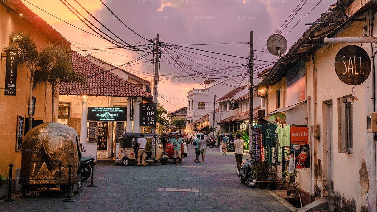 Excursion de thé à Ceylan (10 jours)