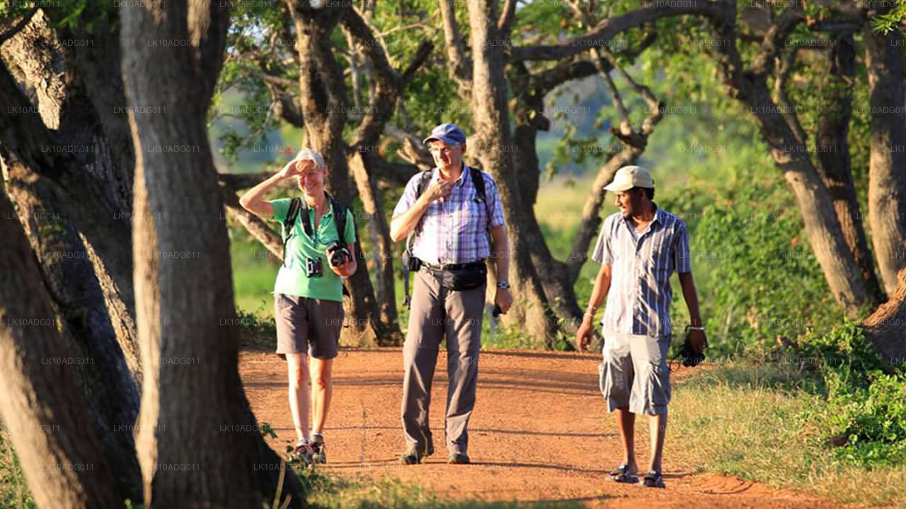 Excursion d'observation des oiseaux et de la faune (10 jours)