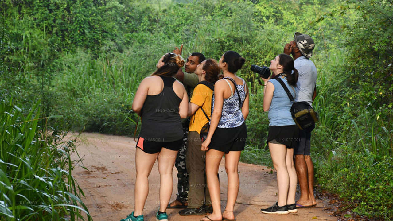 Excursion d'observation des oiseaux et de la faune (10 jours)