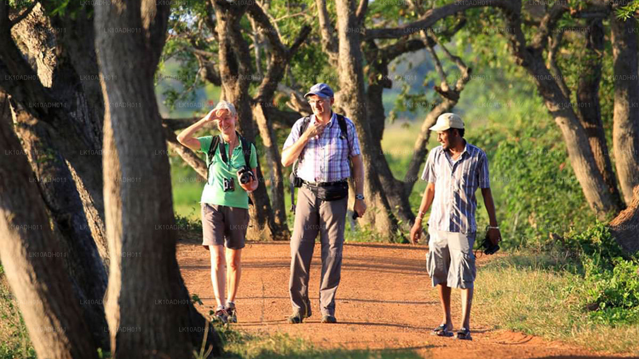Excursion sur les oiseaux et la faune (11 jours)