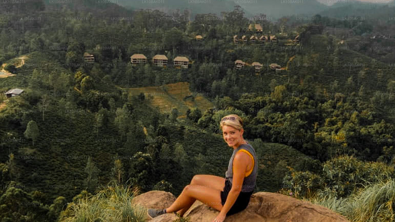 Aventure et loisirs (11 jours)