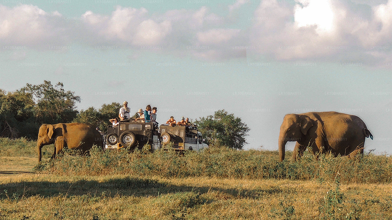 Aventure et loisirs (11 jours)