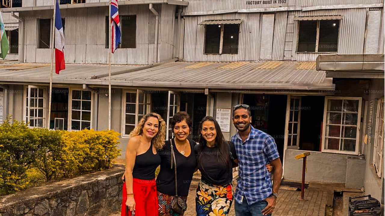 Aventure et loisirs (11 jours)