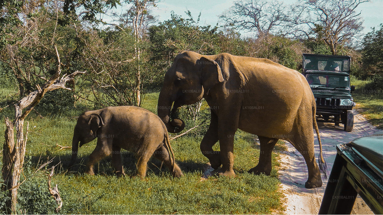 Côte et randonnées (11 jours)