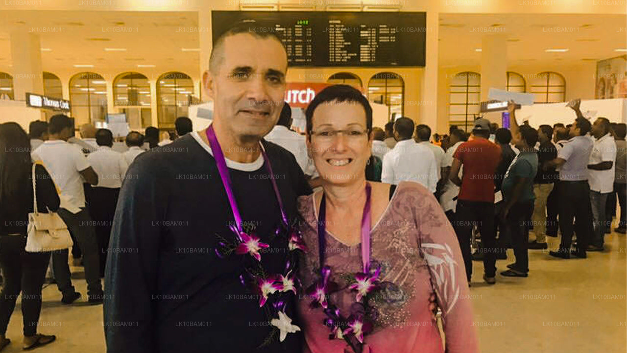 Serendib pittoresque (11 jours)