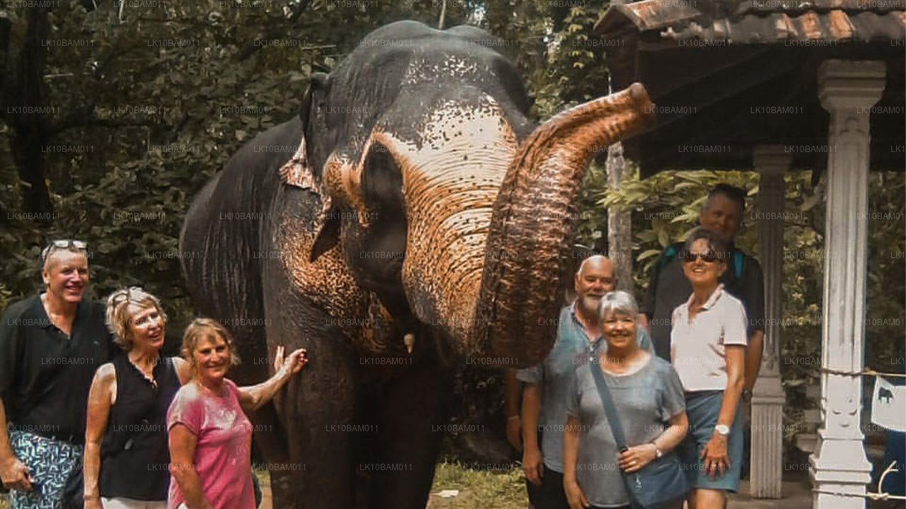 Serendib pittoresque (11 jours)