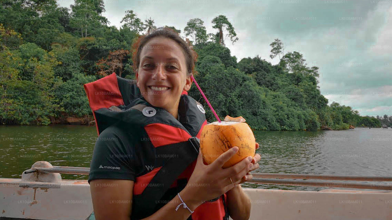 Serendib pittoresque (11 jours)