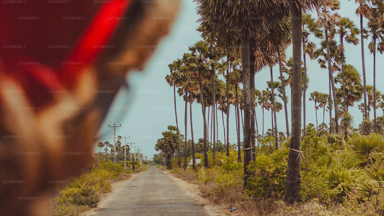 Expérience du Nord-Est (11 jours)