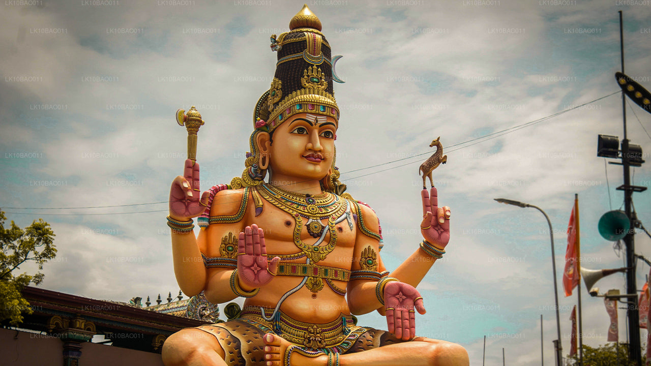 Expérience du Nord-Est (11 jours)