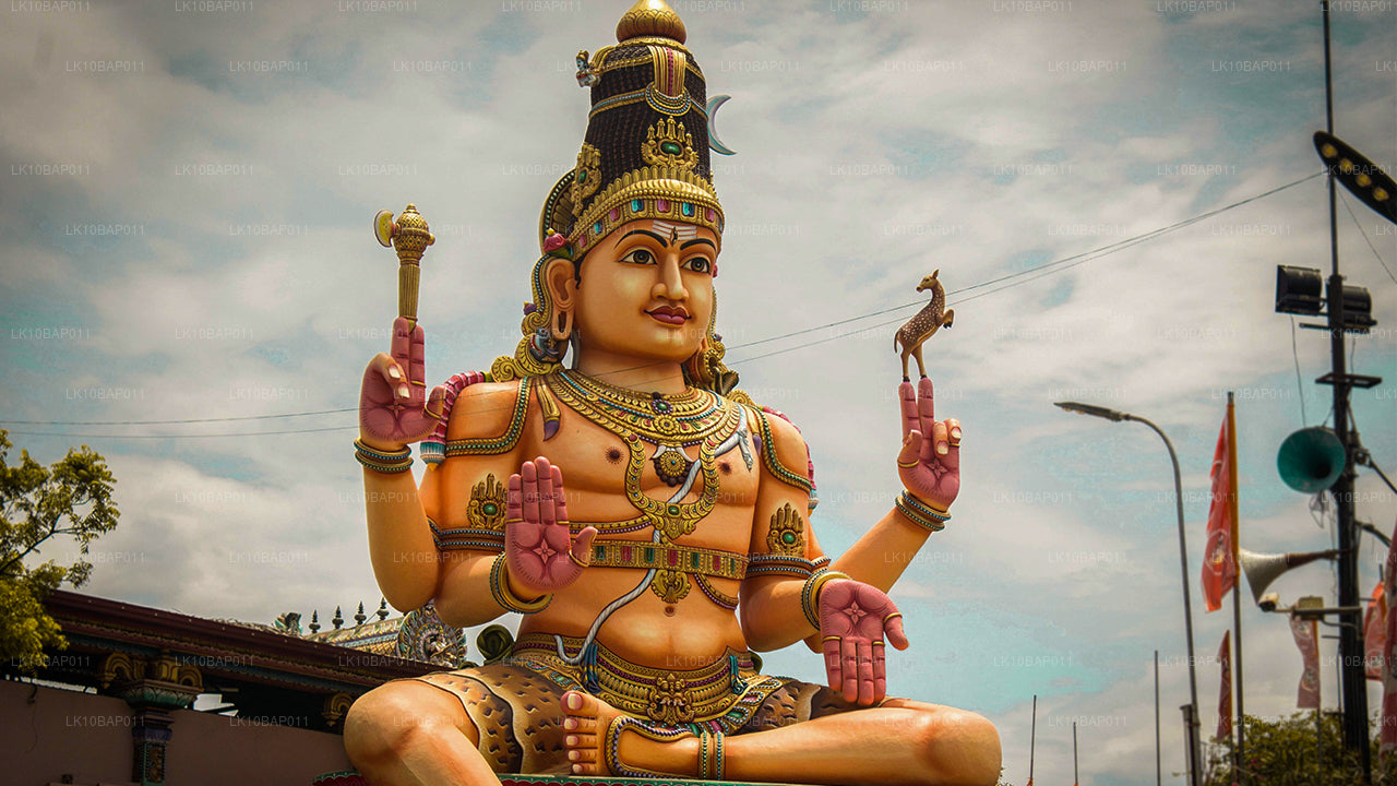 À la découverte du sanctuaire (11 jours)